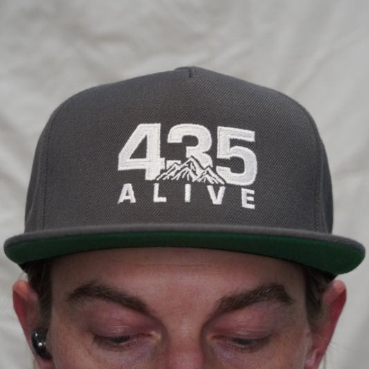 435 Alive Hat Grey